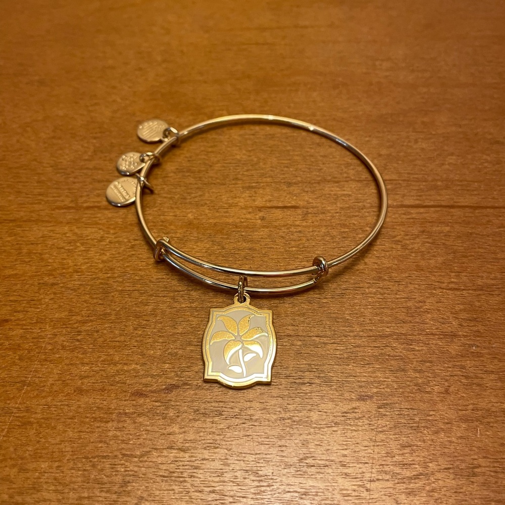 Alex and Ani gold charm bracelet